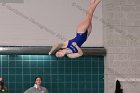 Diving vs Babson  Wheaton College Diving vs Babson College. - Photo By: KEITH NORDSTROM : Wheaton, Diving